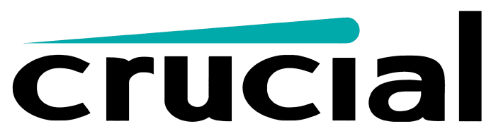 Crucial-Logo-2007