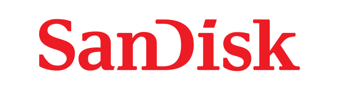 SanDisk-Logo.wine